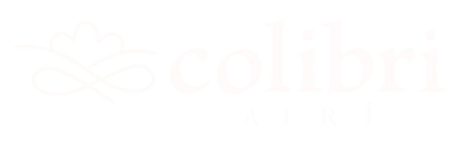 Colibri Airí